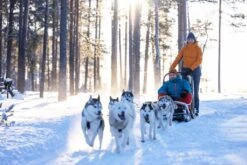 Halti Lasku Jnr Drymaxx Pants -Style Avenue Store ECOR HAL 02 LAS J IMG 5